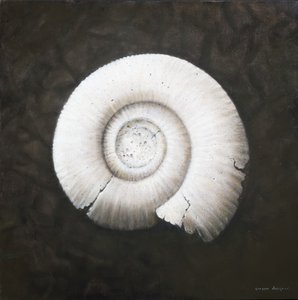 Amononite，2012（丙烯画布）